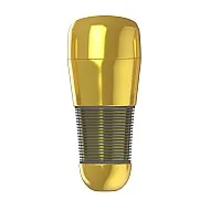 פלאשלייט ANAL GOLD – תחושת חדירה אנאלית מושלמת פלאשלייט ANAL GOLD – תחושת חדירה אנאלית מושלמת