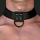 קולר BDSM להולכה | BLACK MATT COLLAR קולר BDSM להולכה | BLACK MATT COLLAR