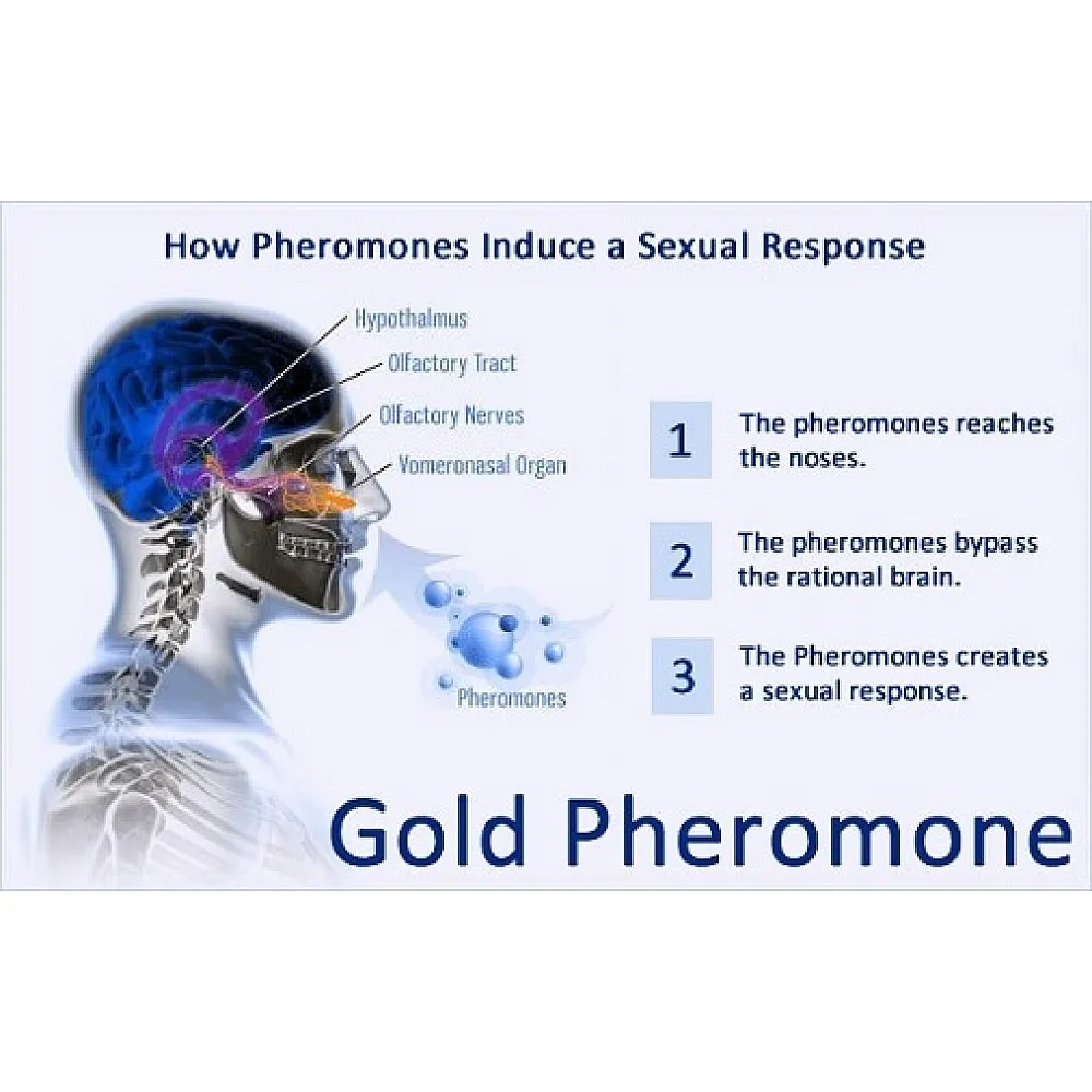 בושם פרומונים לנשים – FM 18 PHEROMONE