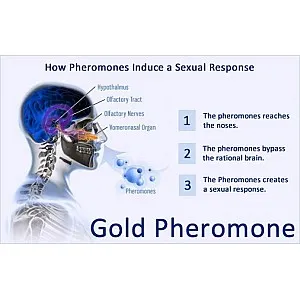 בושם פרומונים לנשים – FM 18 PHEROMONE