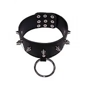 קולרים BDSM | שליטה וריגוש  