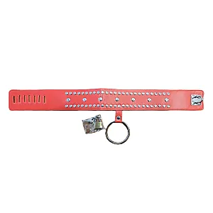 קולר מנעול וטבעת ניטים | Locking O-Ring Collar