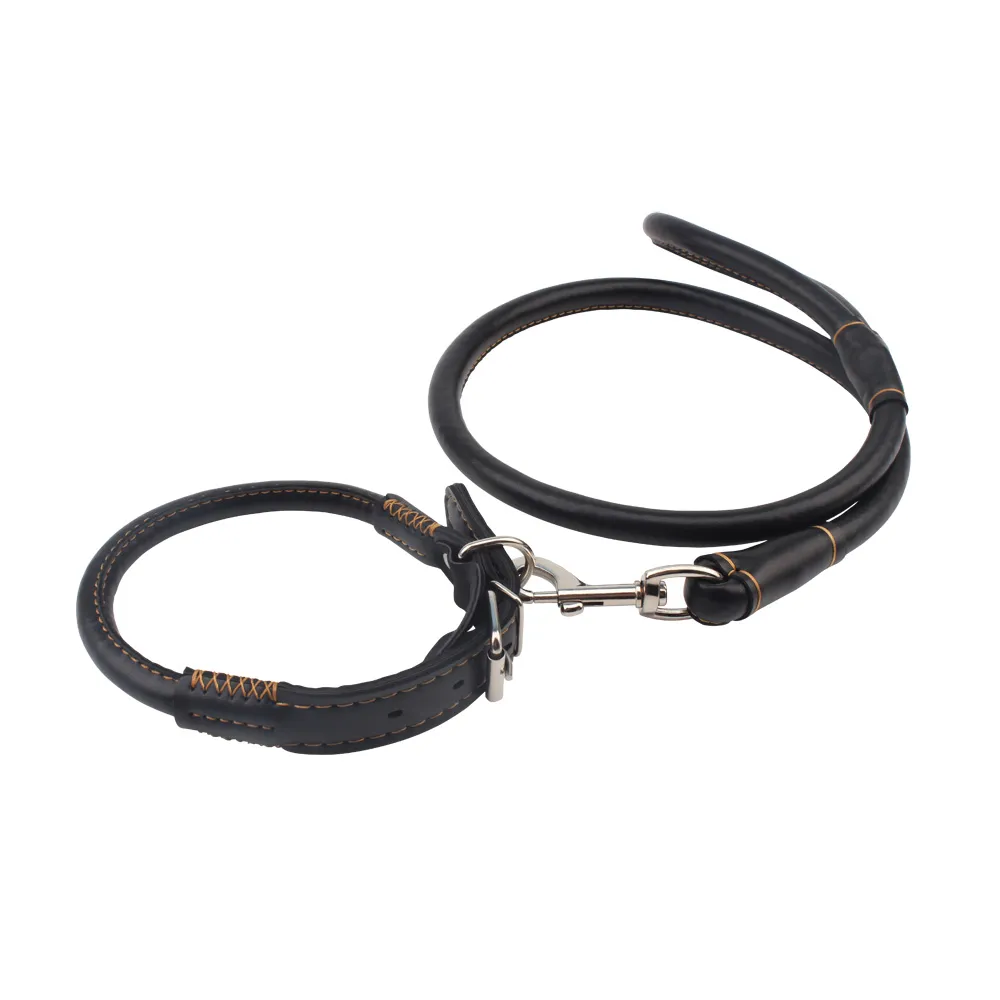 קולר הולכה דמוי עור | Collar & Leash