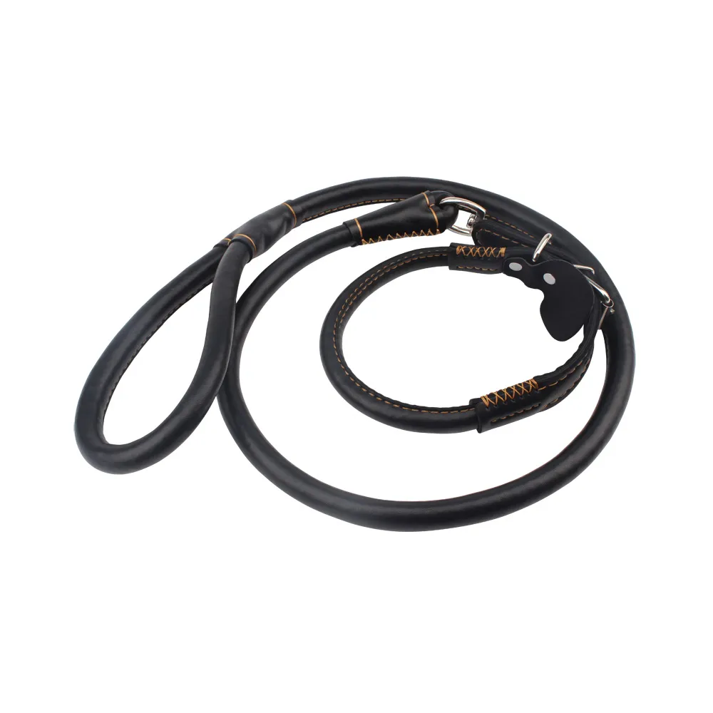 קולר הולכה דמוי עור | Collar & Leash