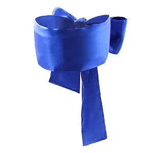 סט כיסוי עיניים ונוצה לזוגות | Feather and Blindfold Set