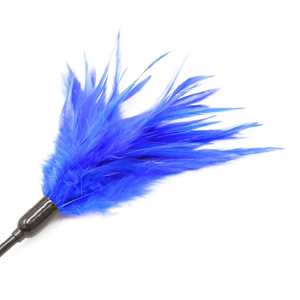 סט כיסוי עיניים ונוצת דיגדוג לזוגות | Feather & Blindfold Set