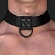קולר BDSM להולכה | BLACK MATT COLLAR קולר BDSM להולכה | BLACK MATT COLLAR