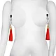 מצבטי פטמות עם משקולות | Weighted Nipple Clamps