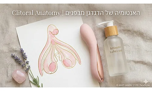 האנטומיה של הדגדגן מבפנים | Clitoral Anatomy