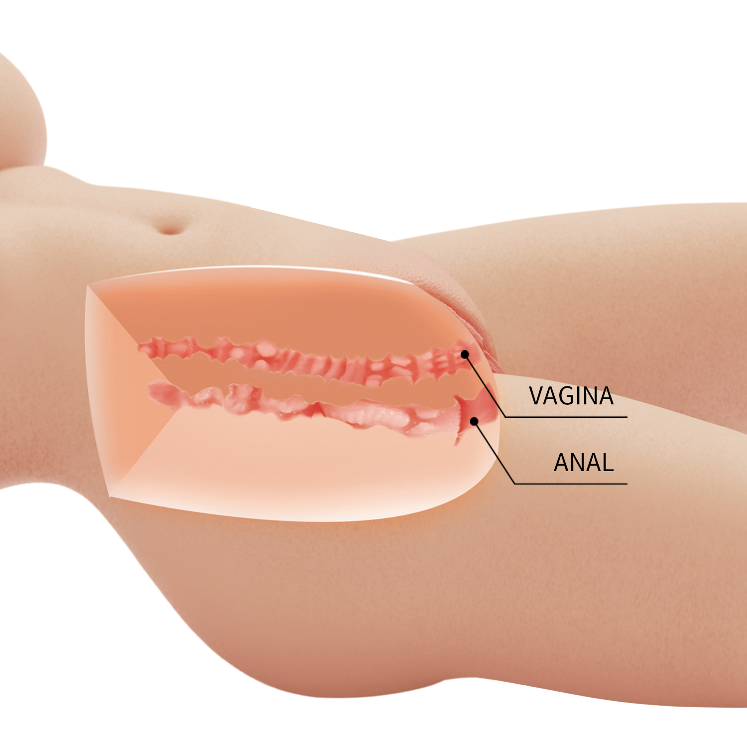 בובת גוף כפולה וריאליסטית | Tiffany