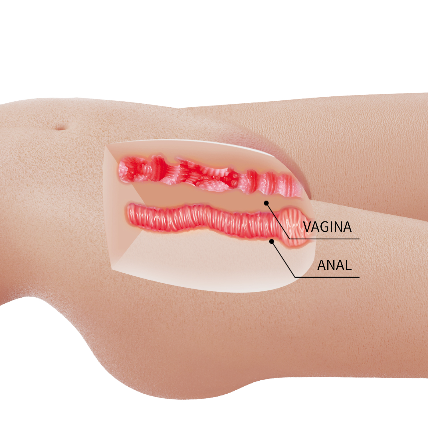 בובת מין ריאליסטית דו-פתחים | Mia